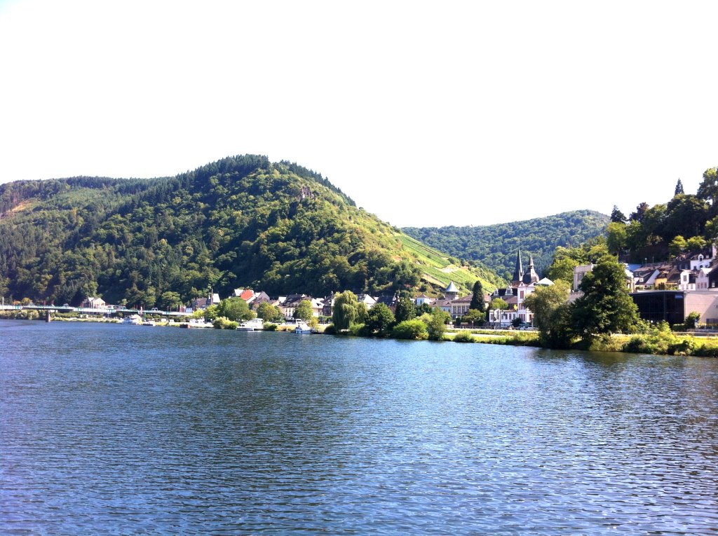 Blick auf die Grevenburg - Urlaub der Mosel in Ferienwohnungen Traben-Trarbach, Weihertorplatz 8, 56841 Traben-Trarbach